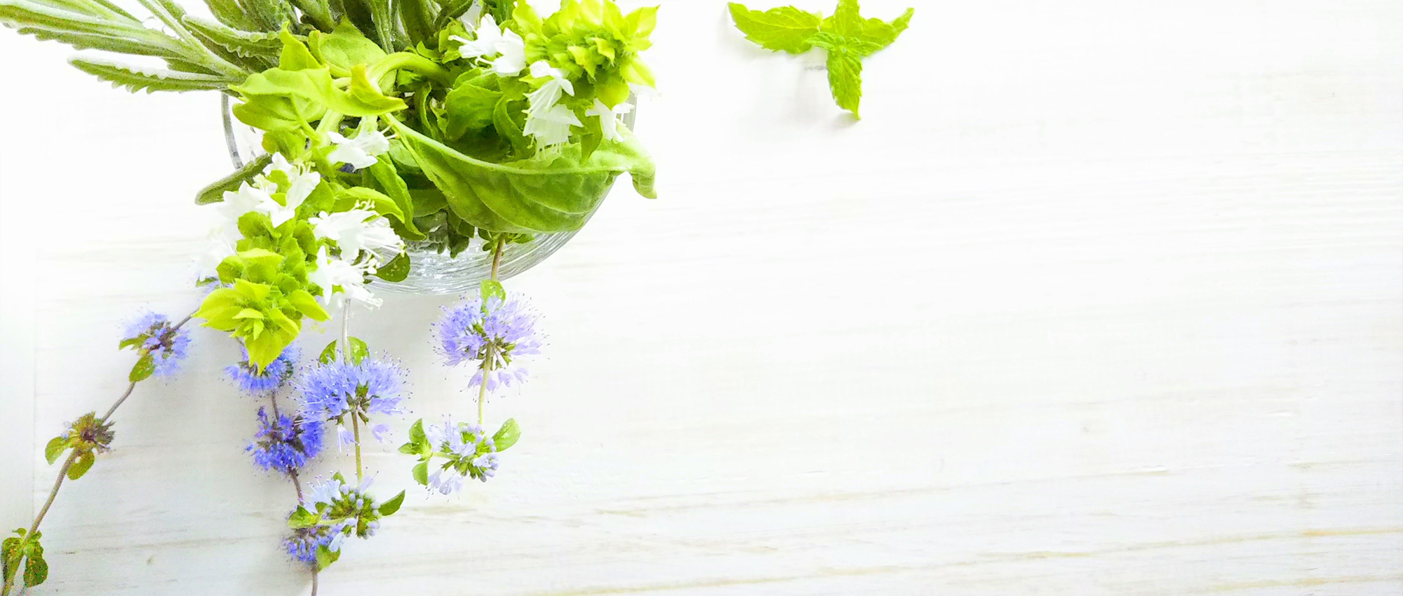 江戸川区西葛西、西葛西駅、内科